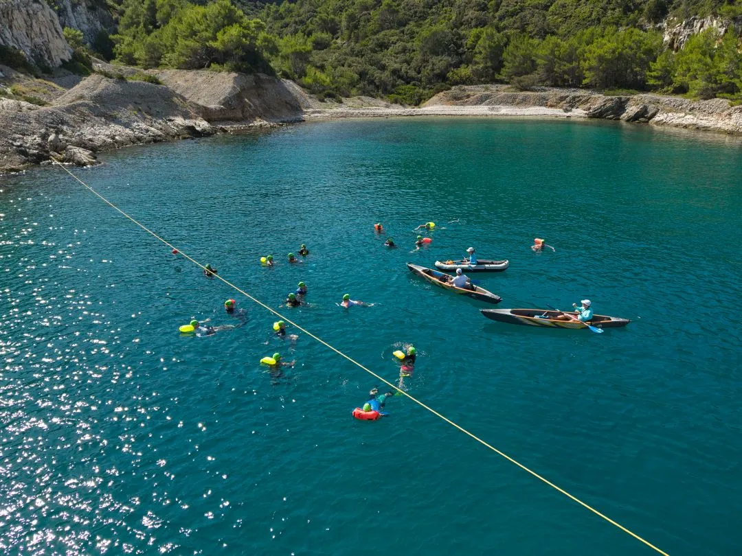Open water swimmers in a secluded Croatian coast cove during a small ship cruise with Swim Traveller