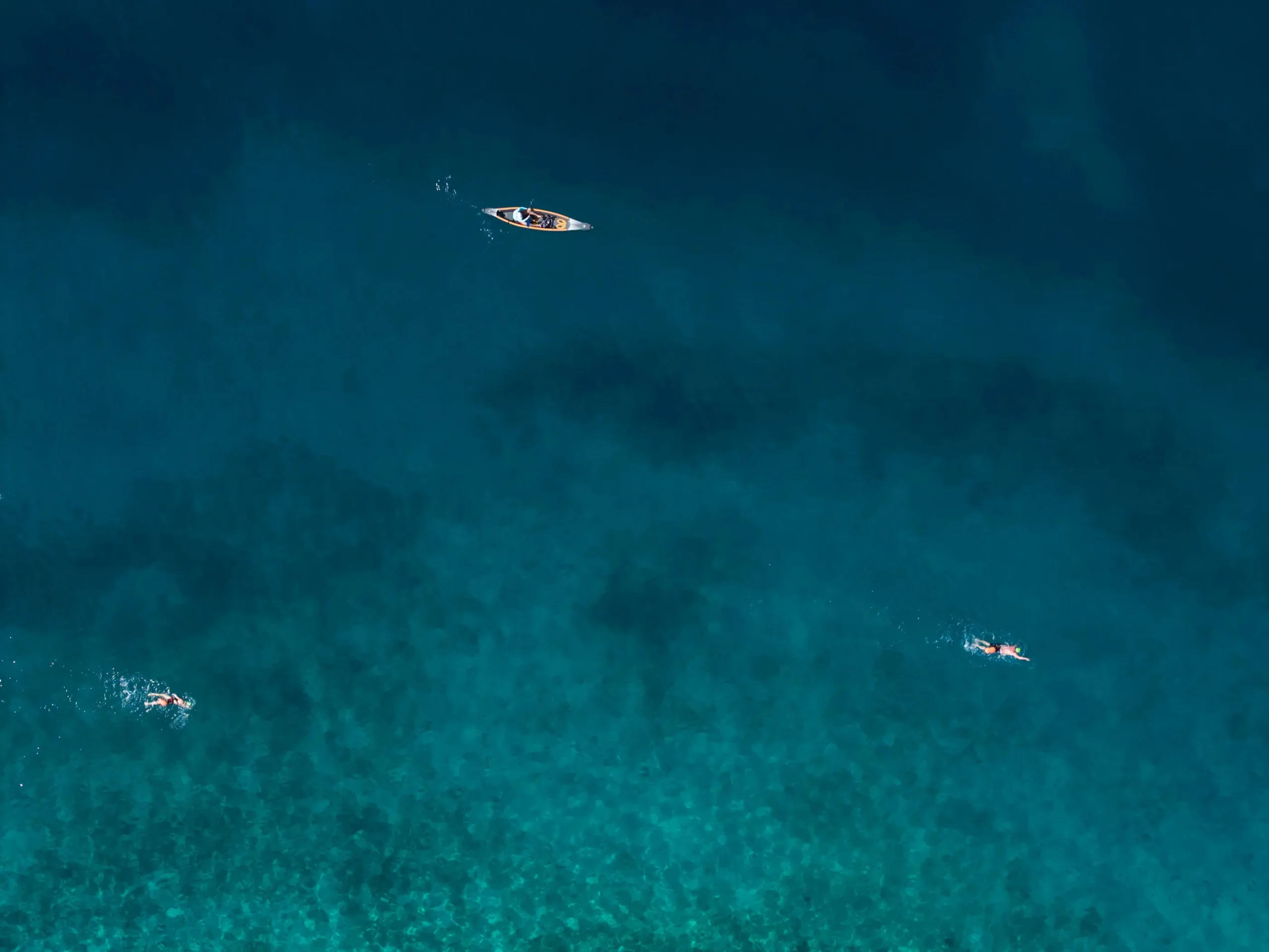 Swimmer in open water